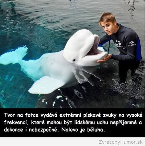 ten piskľavý tvor