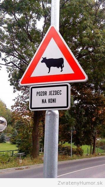 jazdci na konoch