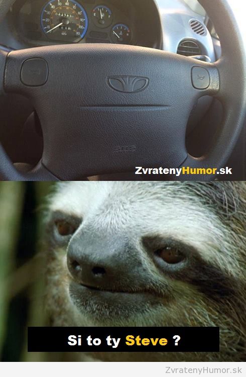 si to ty ?