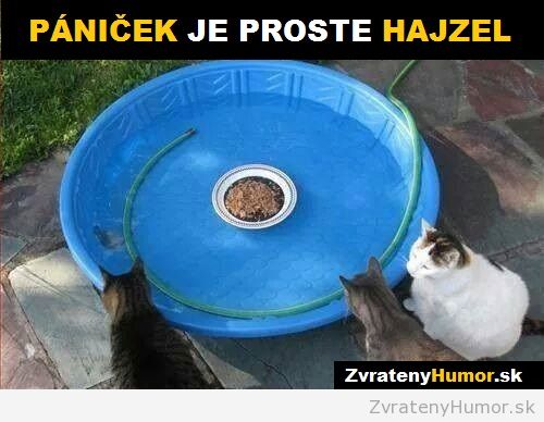 zakerny majitel