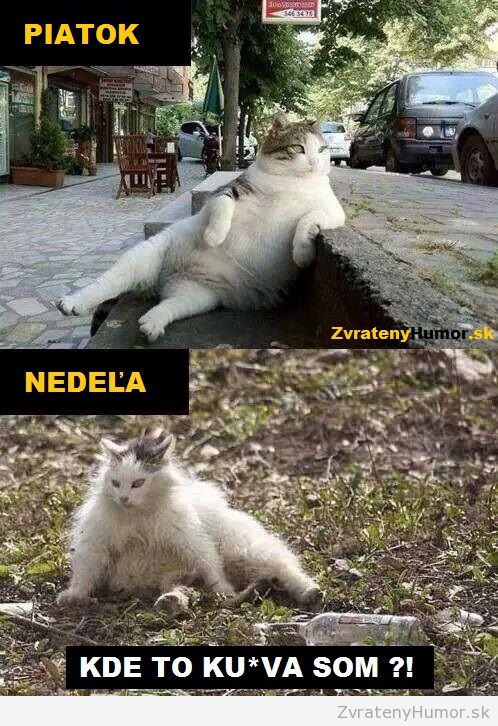 typicky vikend