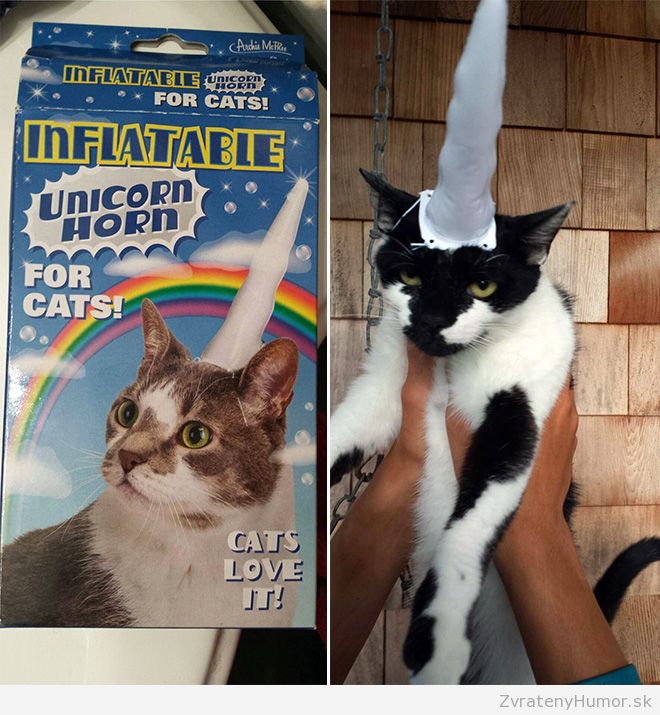 jednorozec 