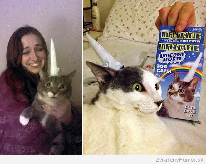 cat-unicorn2