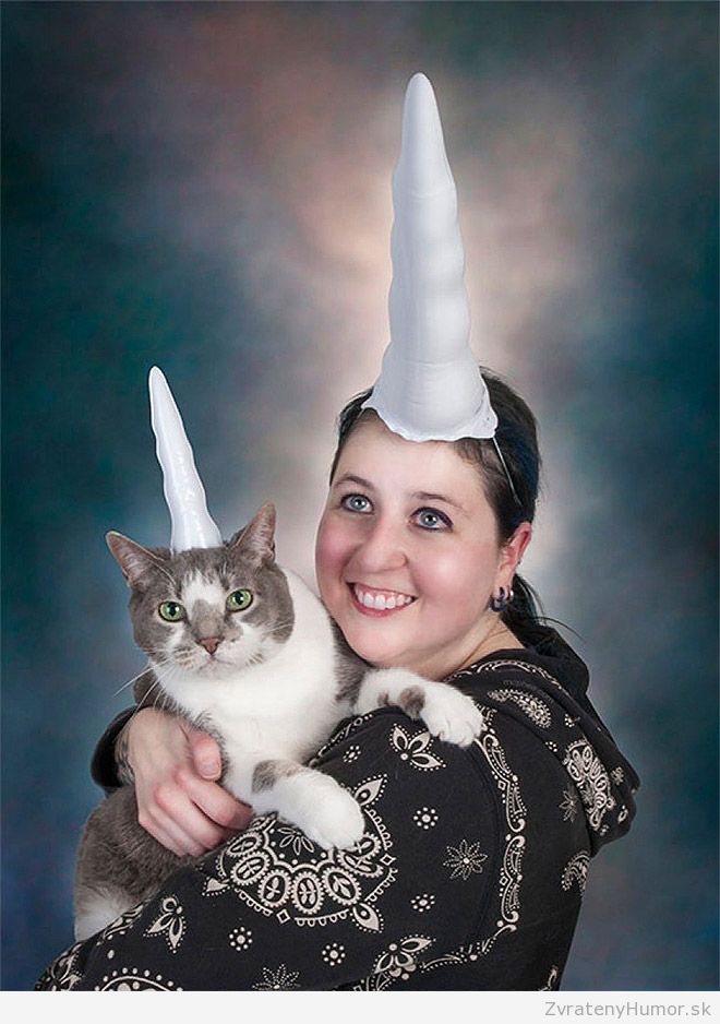 cat-unicorn5