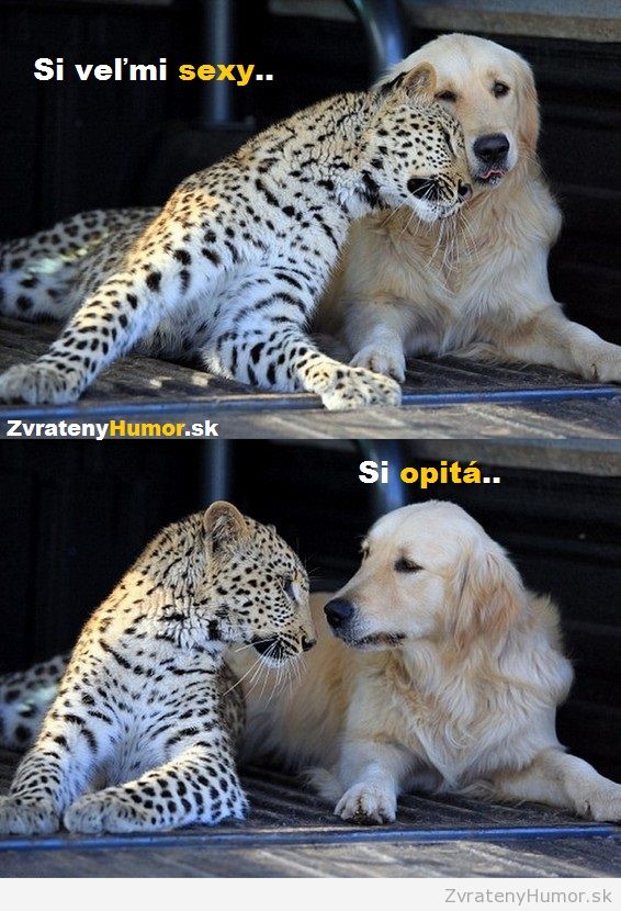 toto nevyslo