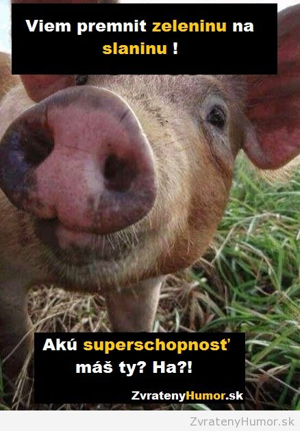 tak aku mas ty ?