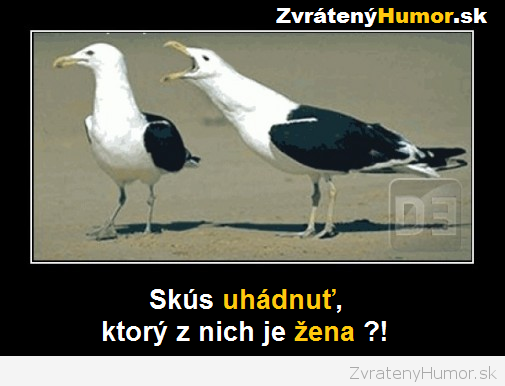 rodinna idilka