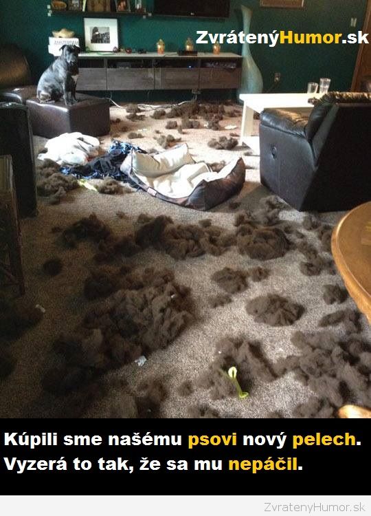 novy pelech