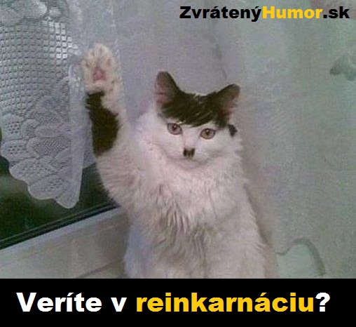 reinkarnacia? 