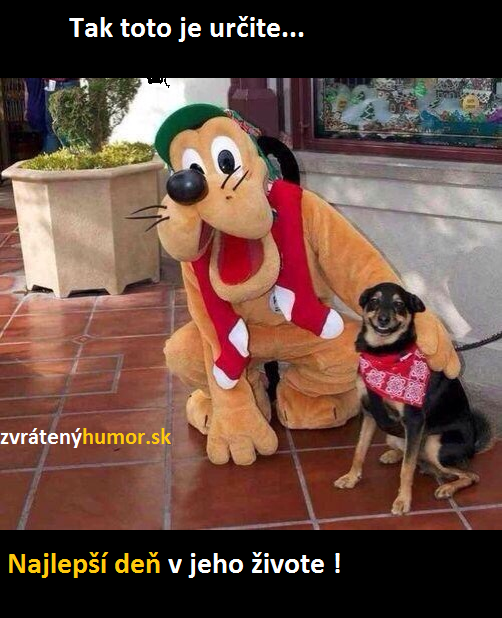 najlepsi den