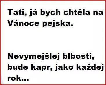 bude kapor