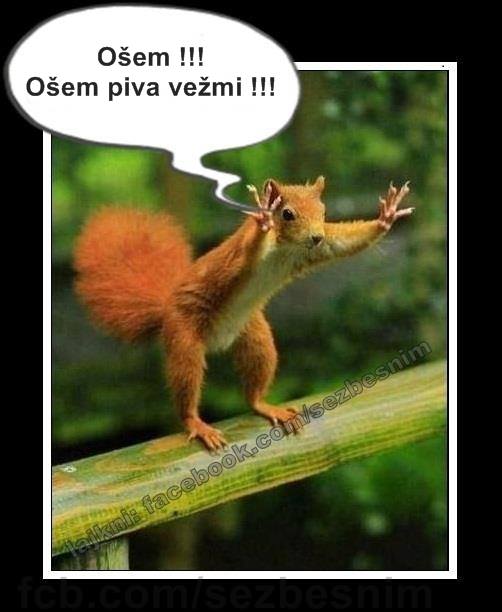 objednavka