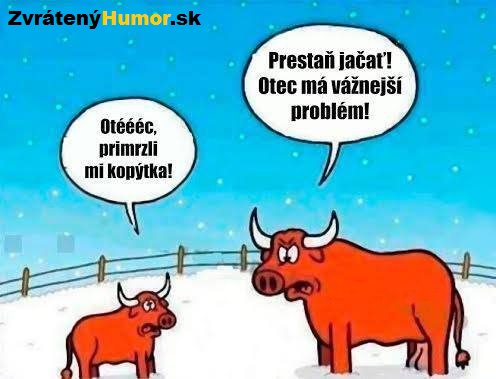 zvierata