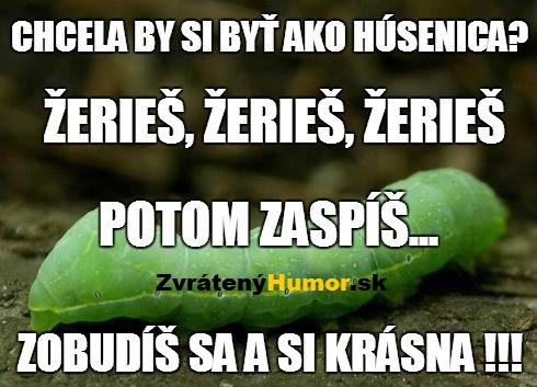 zeries a zeries