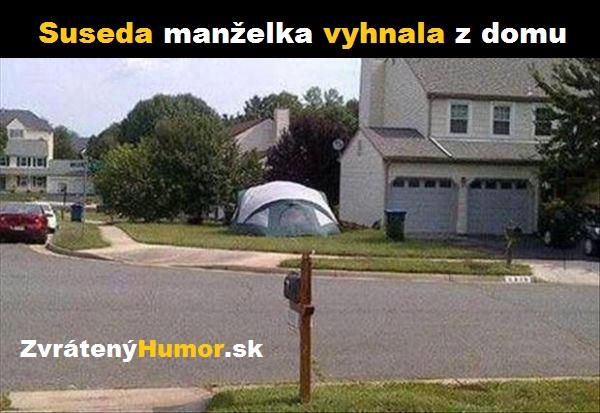 zabyval sa v stane