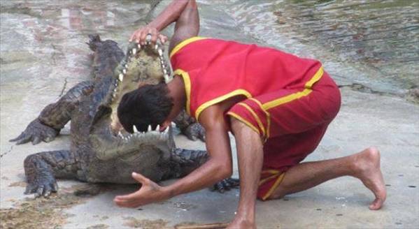 krokodil