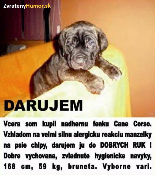 Darujem