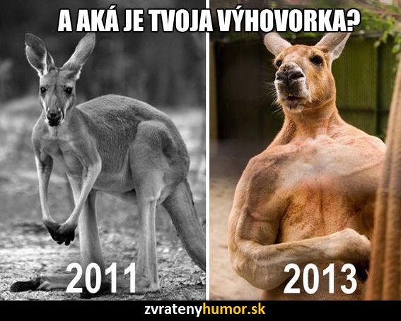 vyhovorka