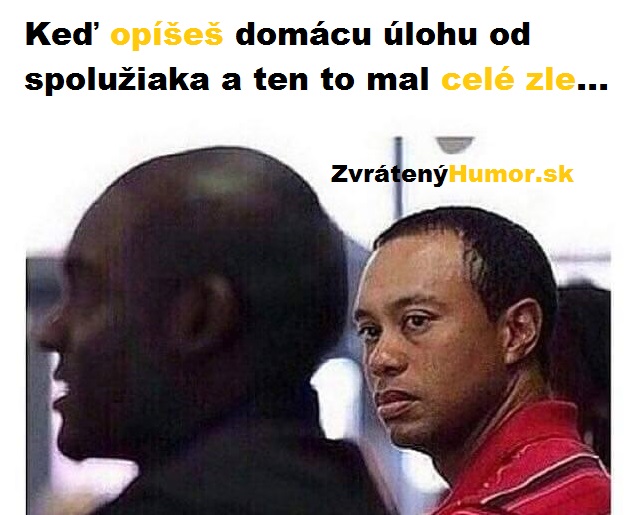 ten hajzel