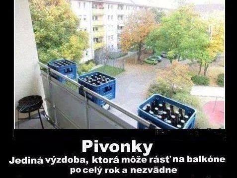 krasne kvetinky
