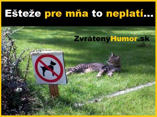 znacka