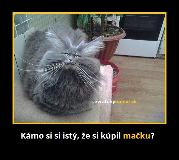 macka