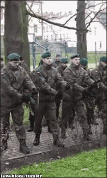 policajti 10