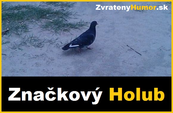 vtak