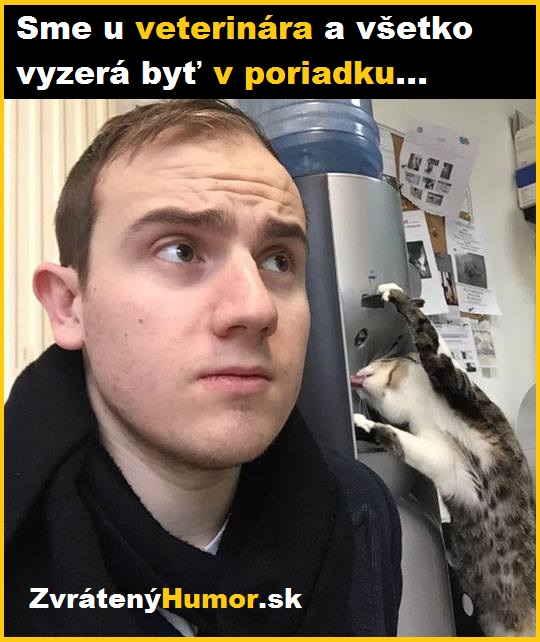 veterinar