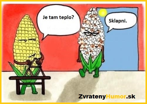 slnecno