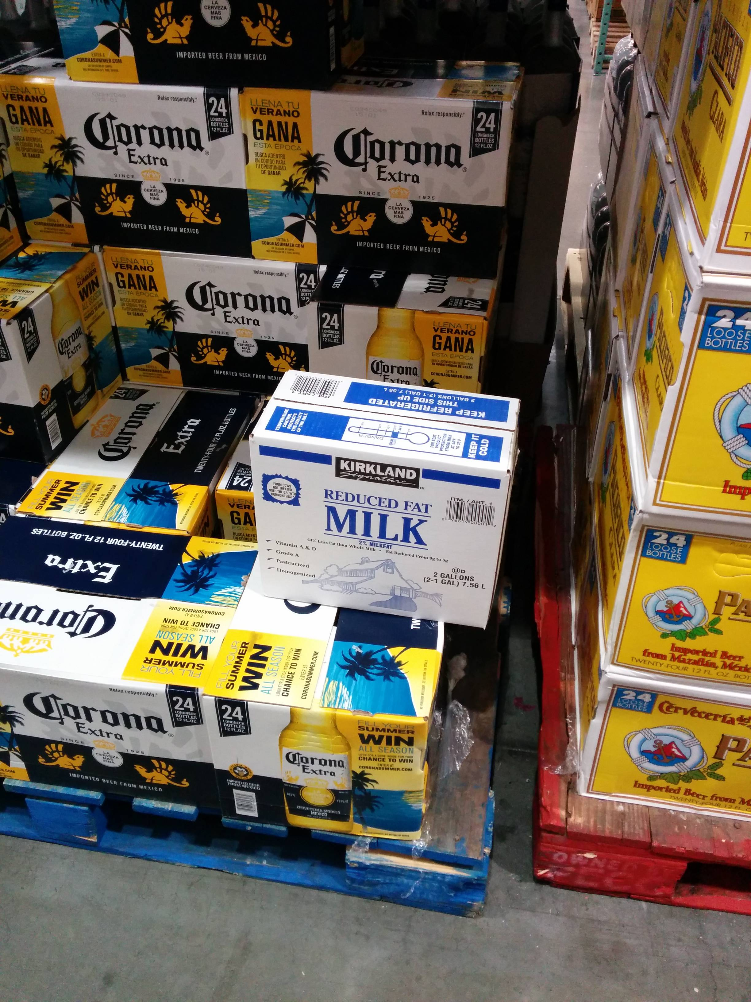 pivo