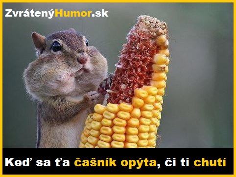 kukurica
