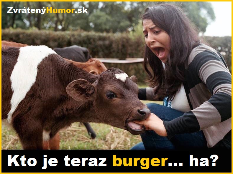 hamburger