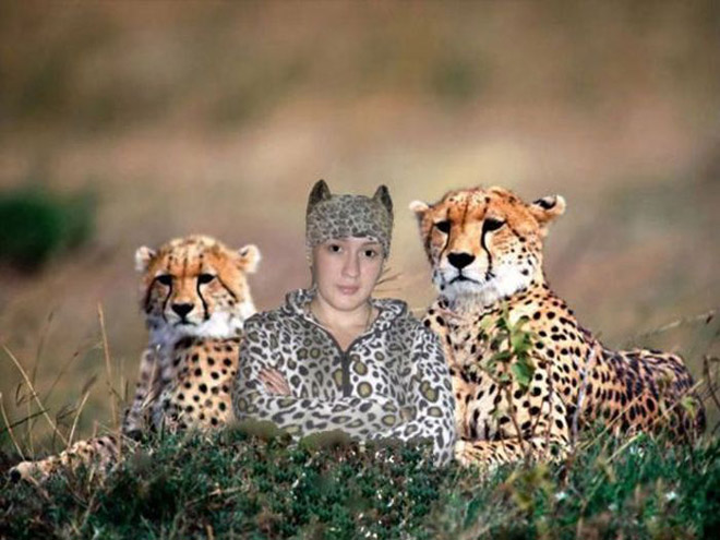 leopard