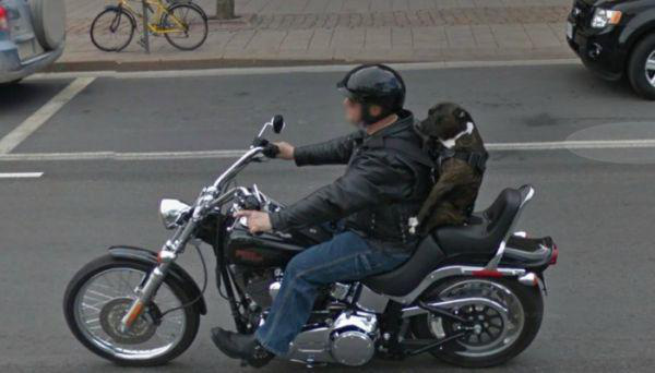motorkar