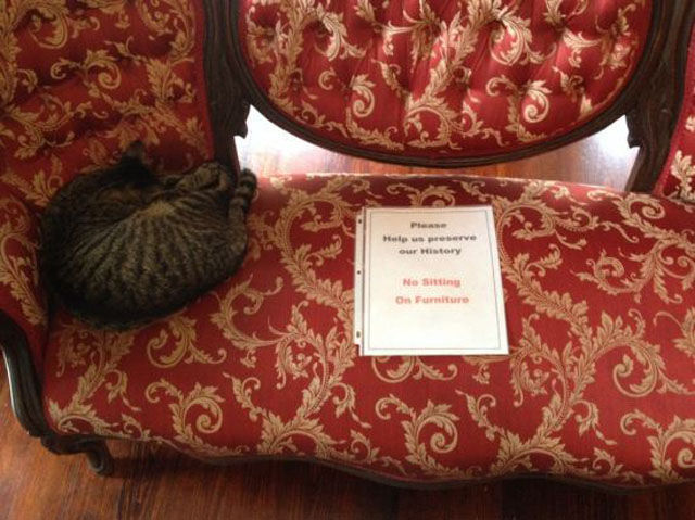 sofa