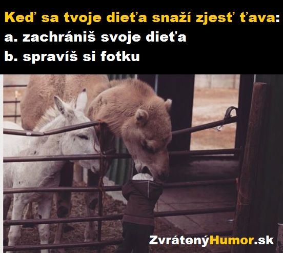 tava