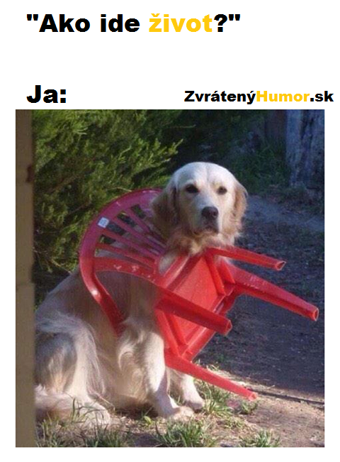 hlava v stolicke