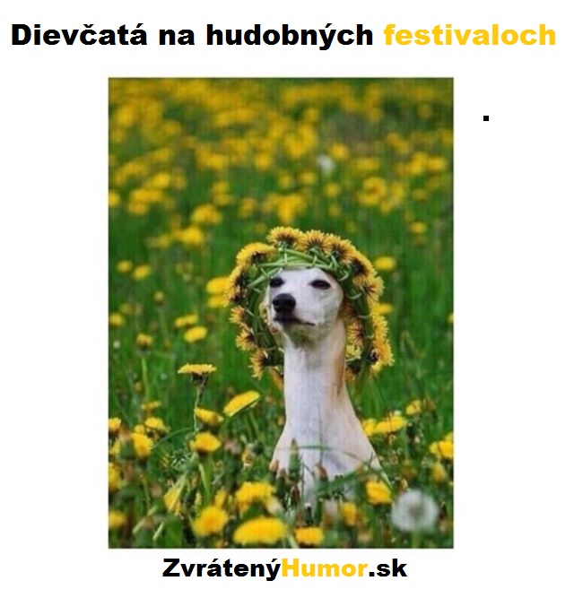 festival