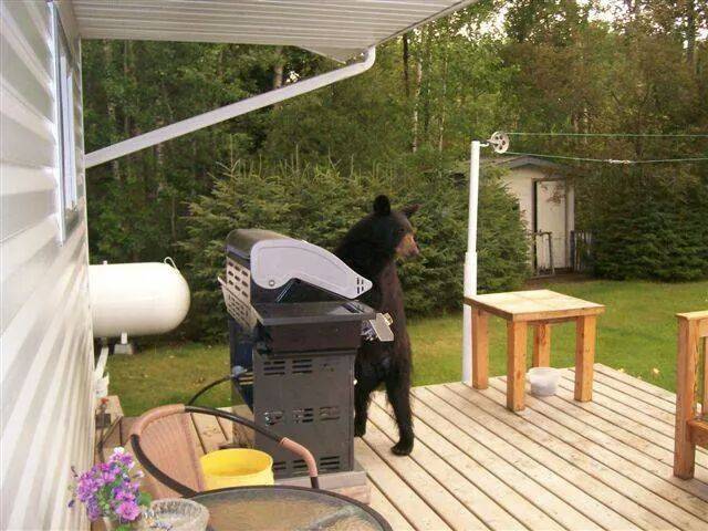 grill