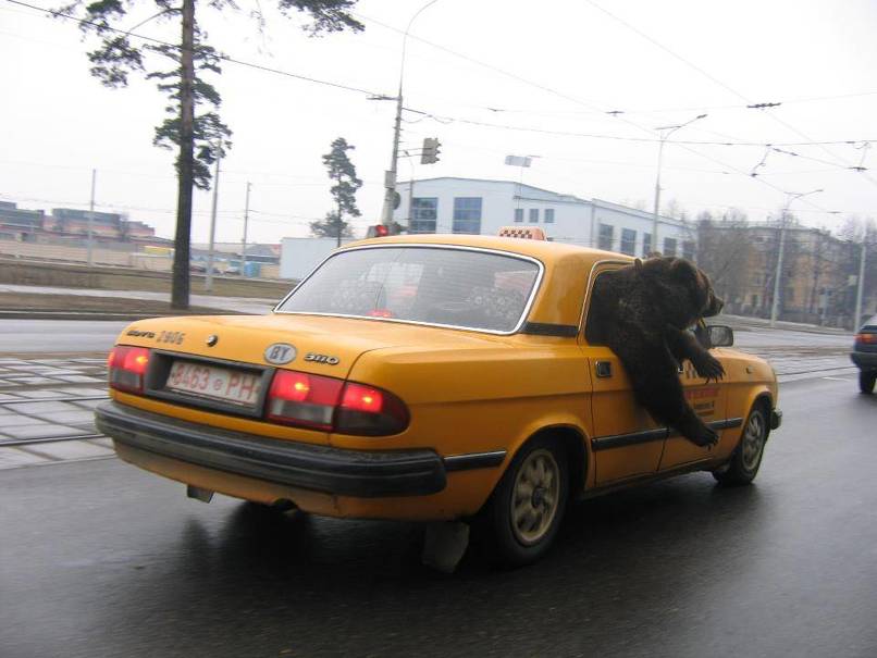 taxi