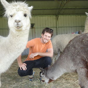 lama