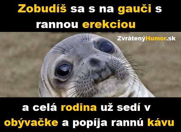 erekcia