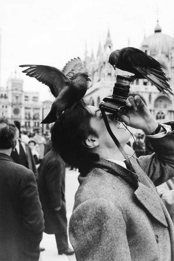 fotograf  33