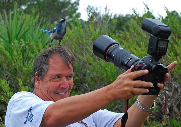 fotograf  34