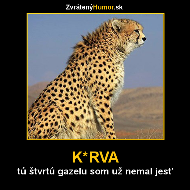 jedenie gazely