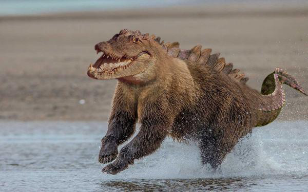 krokodil