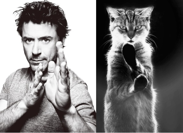 downey jr