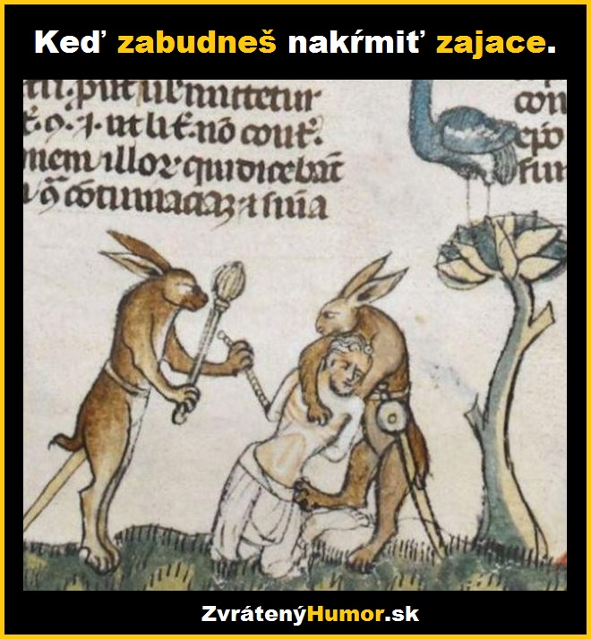 zajace