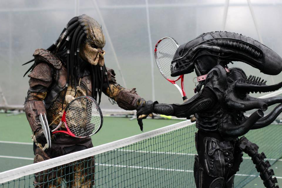 tenis